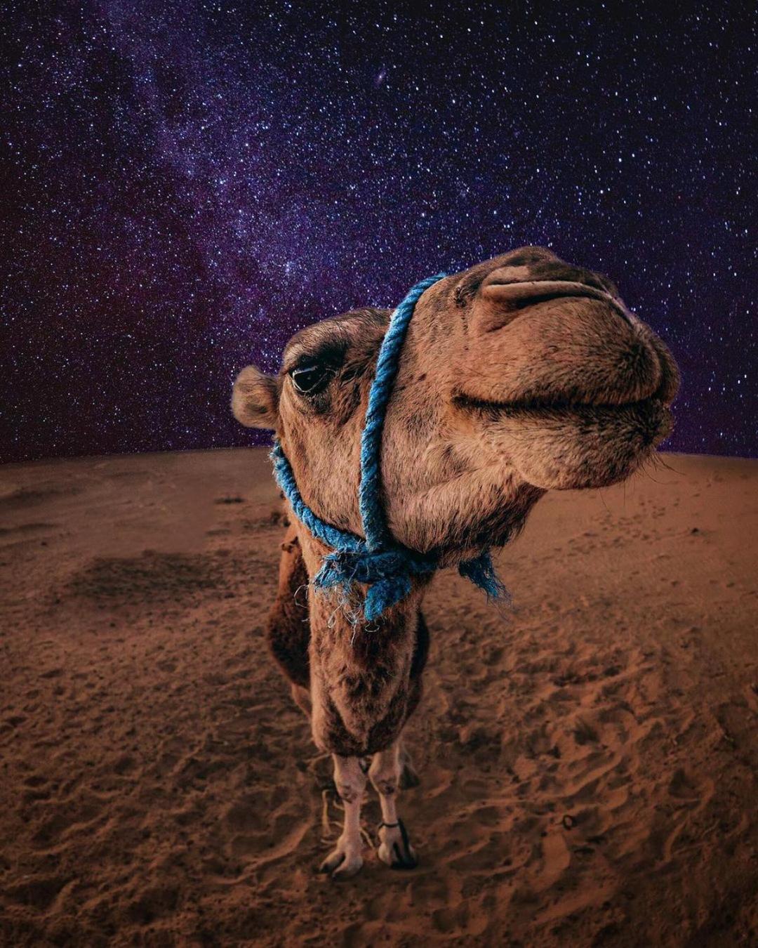 Merzouga Luxury Magic Nights المظهر الخارجي الصورة
